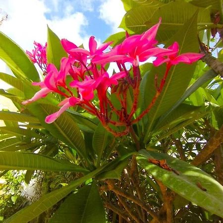 Beautiful 3 Bedroom Townhouse In Urb. Tropicana, Nerja Zewnętrze zdjęcie