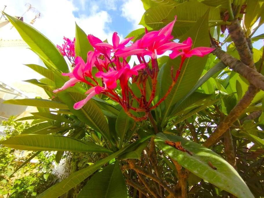 Beautiful 3 Bedroom Townhouse In Urb. Tropicana, Nerja Zewnętrze zdjęcie